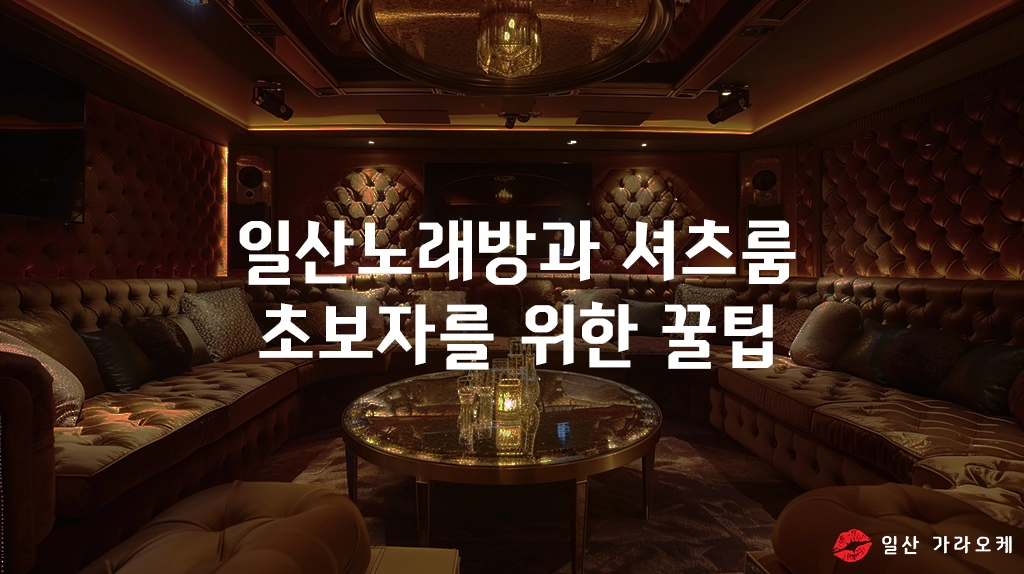 일산노래방과 셔츠룸 초보자를 위한 꿀팁